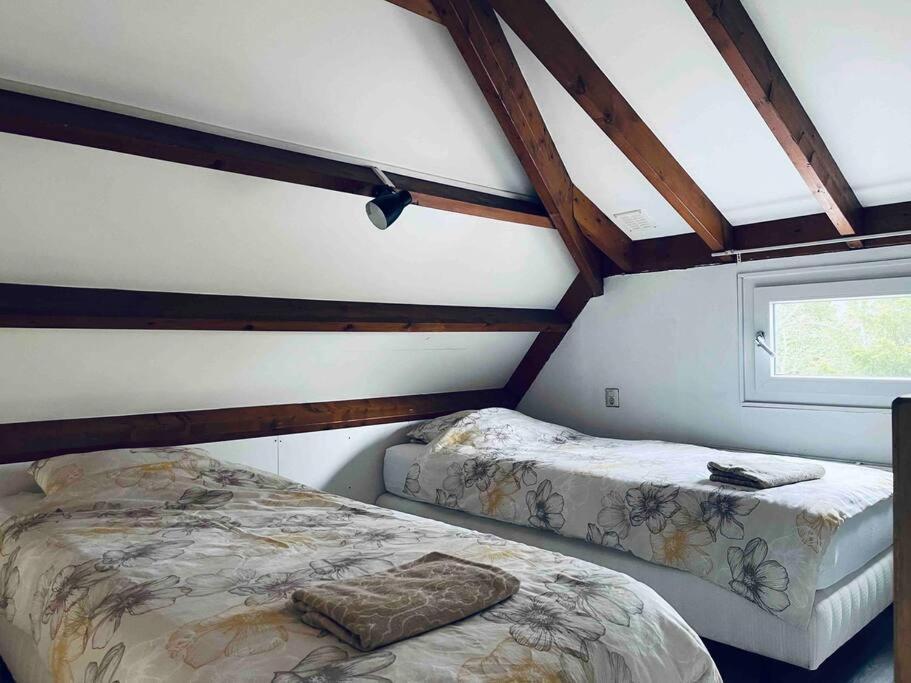 Leuke Bungalow In Noord-Holland Opmeer Dış mekan fotoğraf